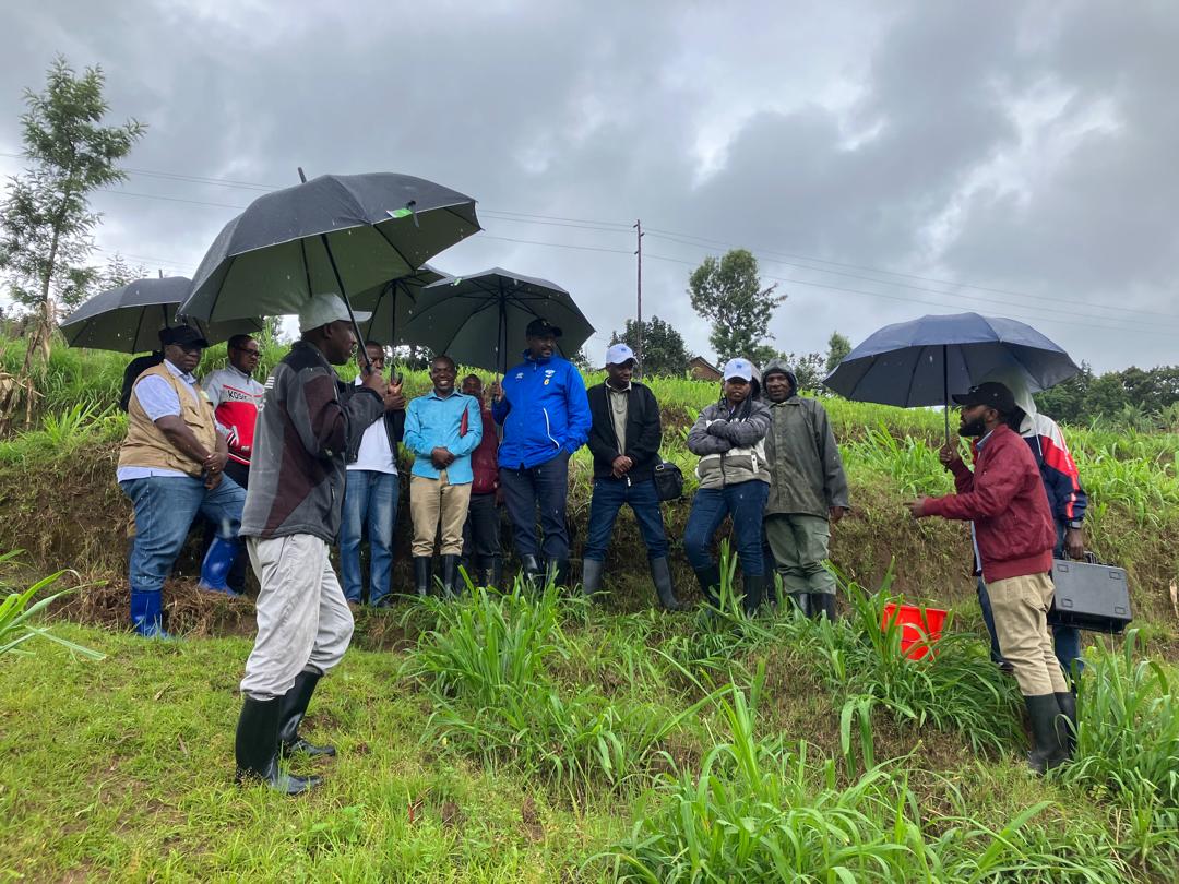 Evaluating Water Options for a Solar-Powered Irrigation Scheme in Butaro